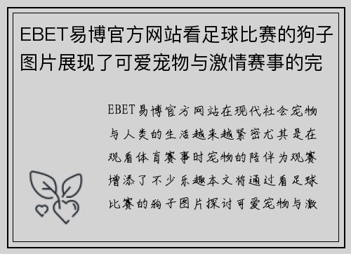 EBET易博官方网站看足球比赛的狗子图片展现了可爱宠物与激情赛事的完美结合